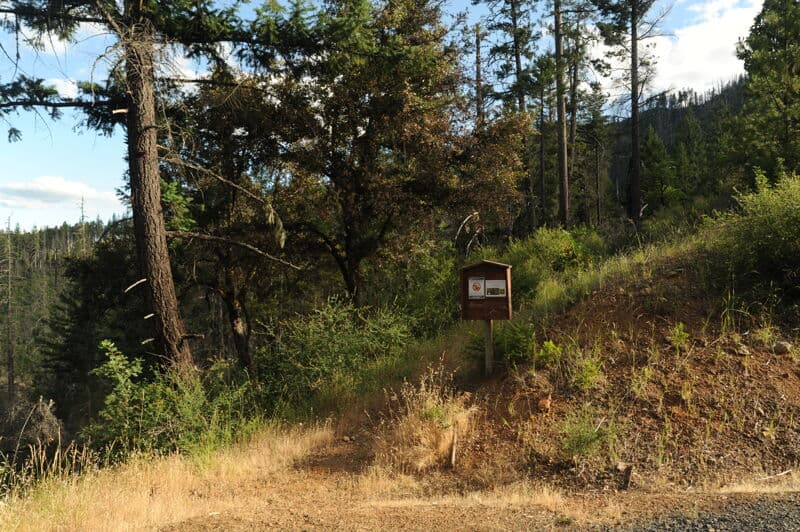 Snailback Access