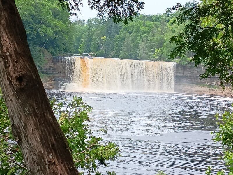 Trip report photo
