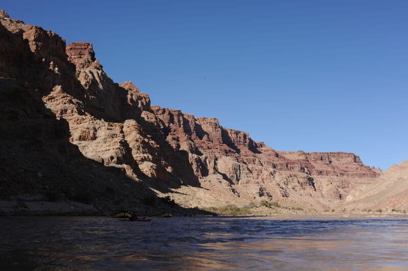 Rapid 8
