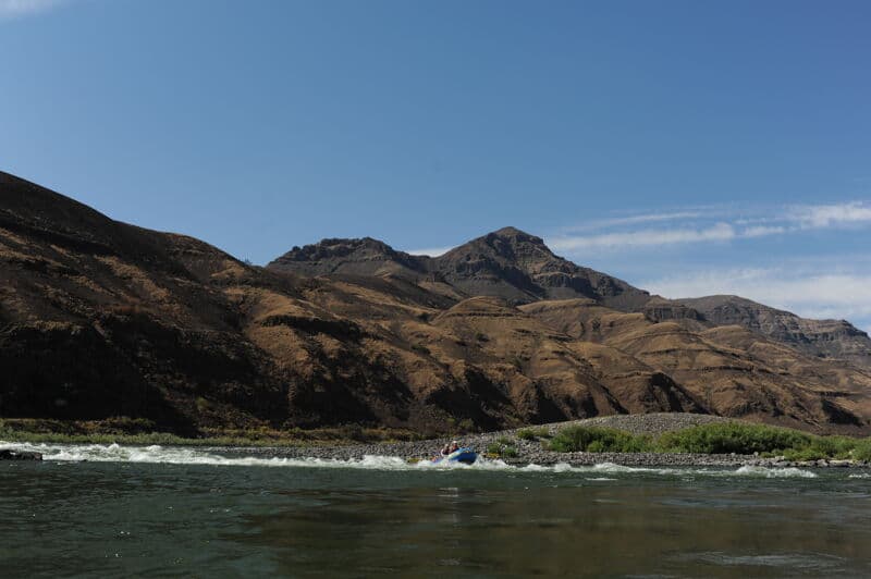 Wapshilla Rapid