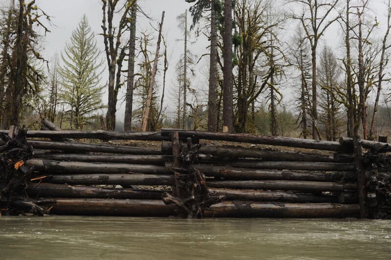 Winter Stillaguamish Trip