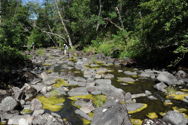 Klamath River, Wards Canyon Dewatered