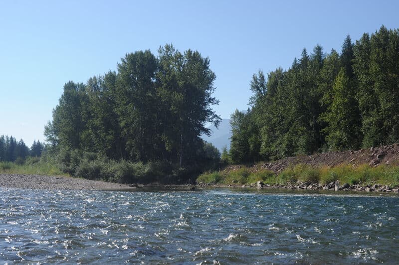 Moccasin Creek, Put In