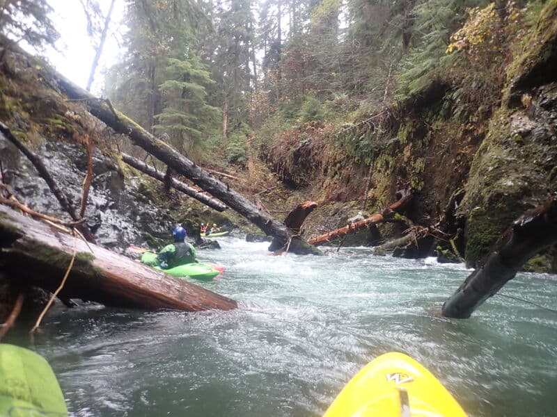 East Fork Narrows Humptulips