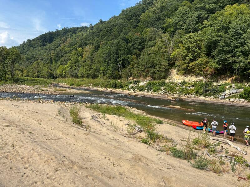 South Indian Rapid