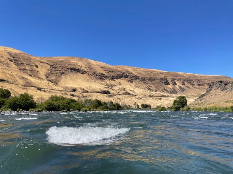 Rattlesnake Rapids