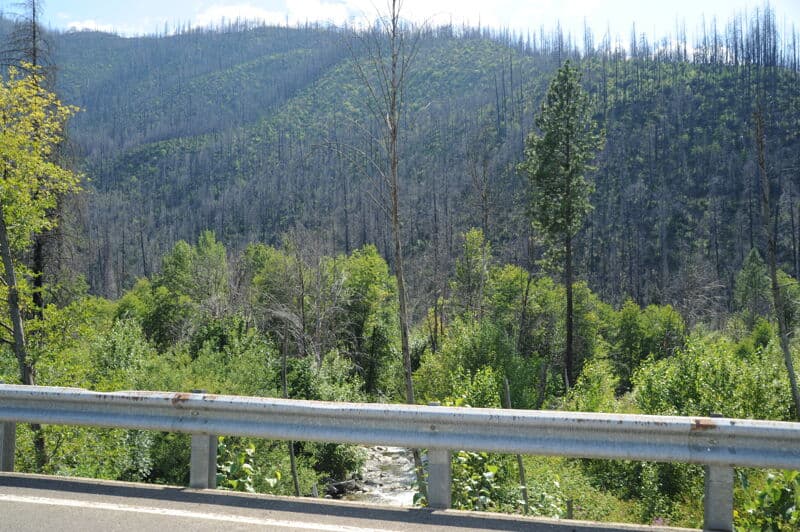 East Fork Confluence Put-in