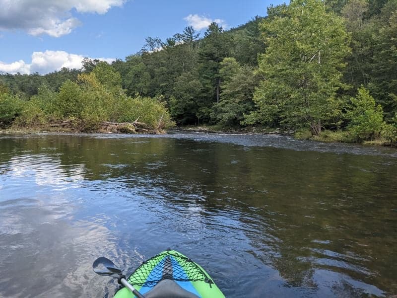 Hutchinson Rapid