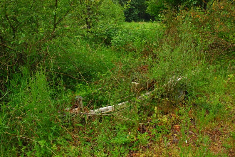 Nisqually Watershed Council Access Tour