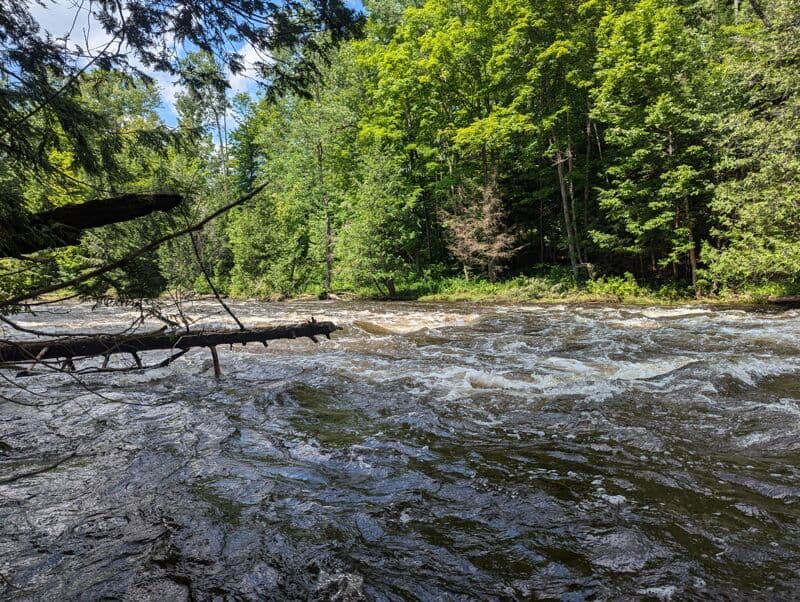 Hydro section