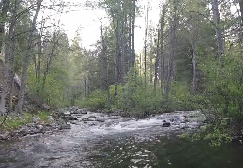 Grizzly Creek Confluence