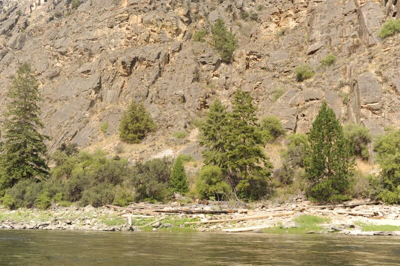 Ouzel Camp (RL)
