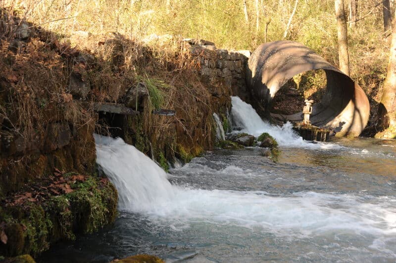 Boze Mill Float Camp