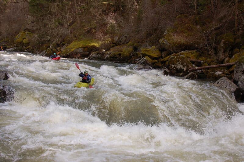 Early Spring At Choice Flows