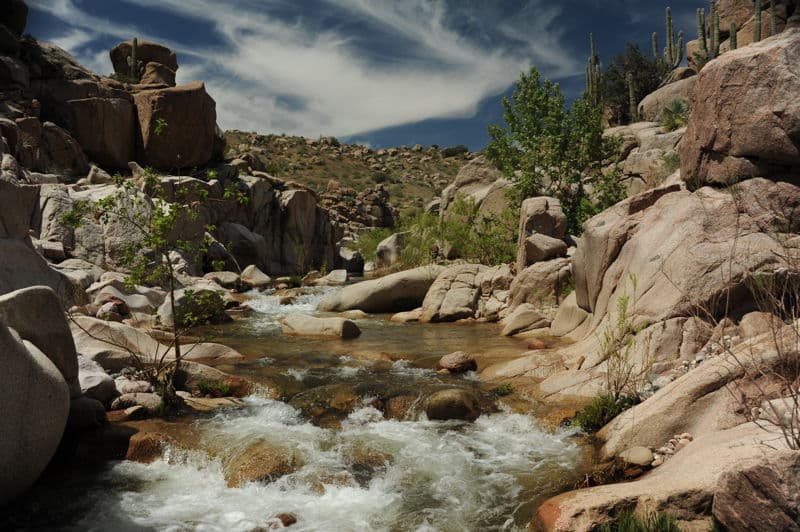 Canyon Creek