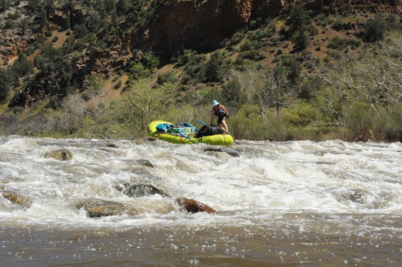 Bump and Grind Rapid