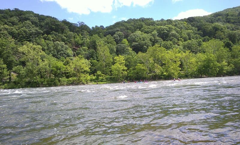 Potomac Needles