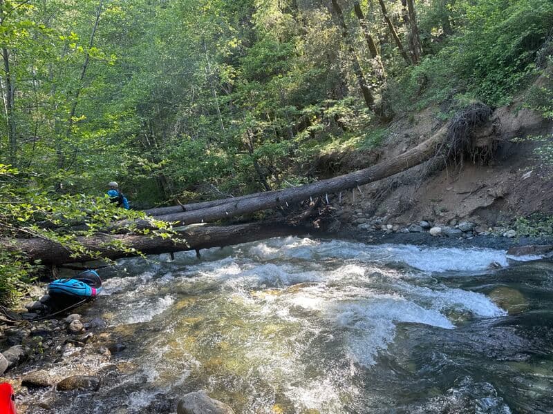 River wide strainer