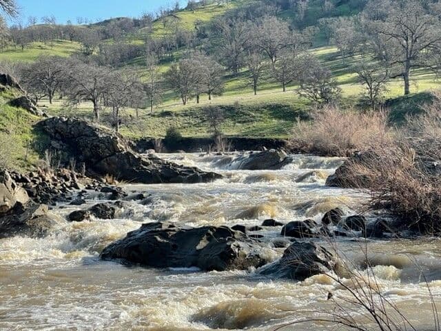 Bear Creek into Cache Creek - March 15th, 2023