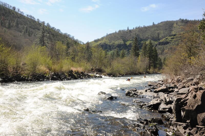 Ishi Pishi (aka Dillacorte Rapids)