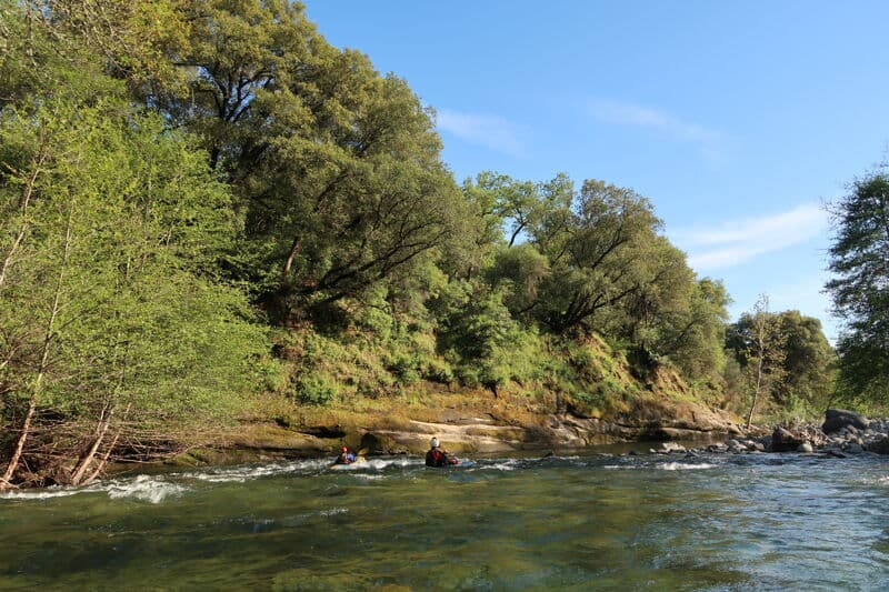 Butte Creek in Spring