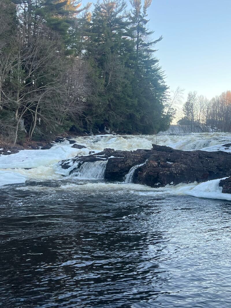 Trip report photo