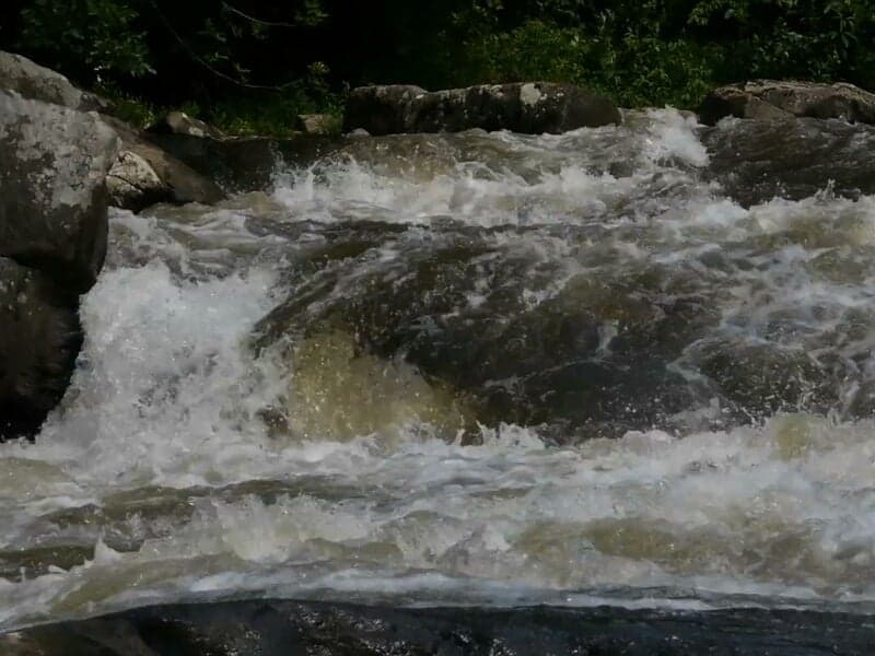 Trip report photo