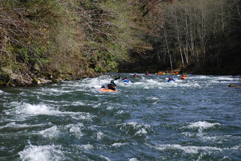Unnamed Rapid