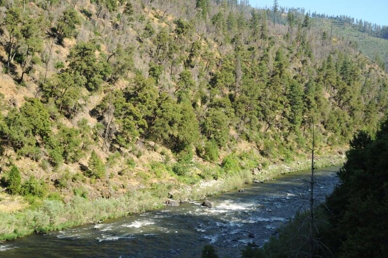 Osprey Rapid