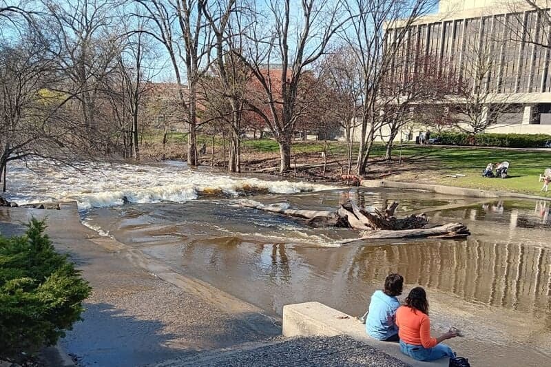 MSU Wave @1230