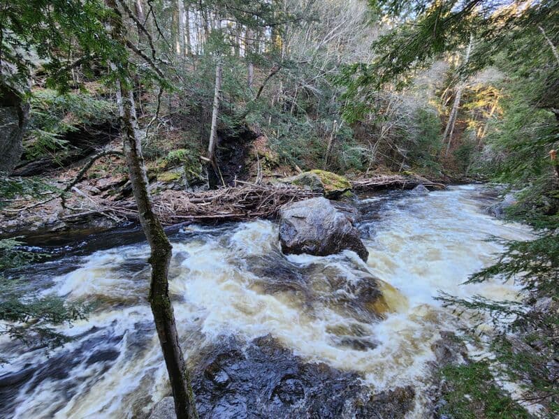 Gilsum Gorge