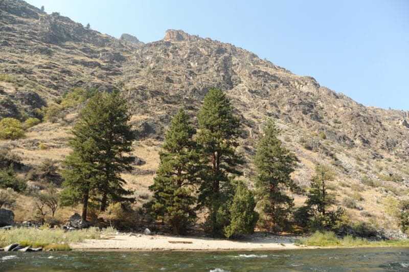 Fall Trip on the Middle Fork Salmon
