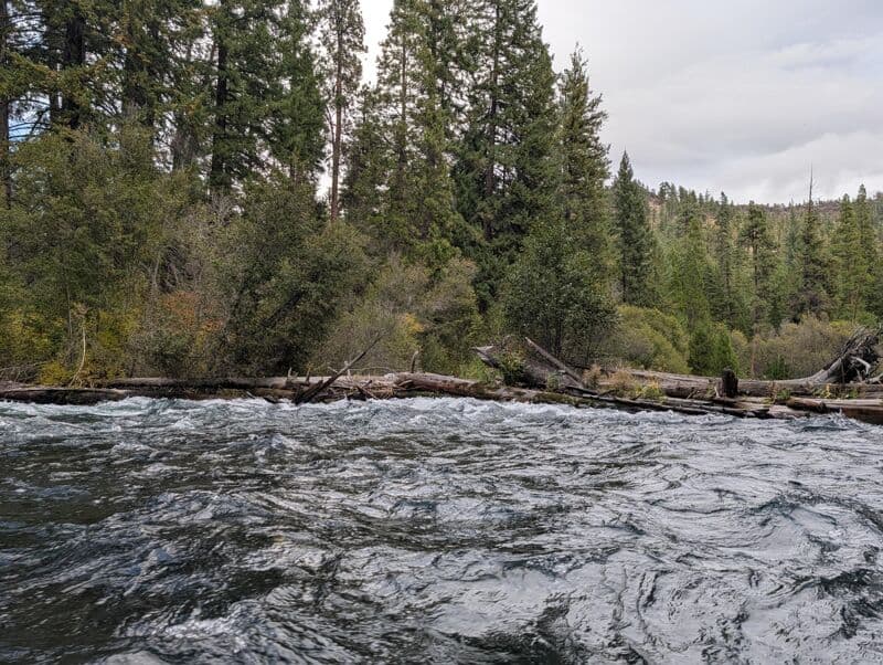 Full Metolius with emphasis on Lower