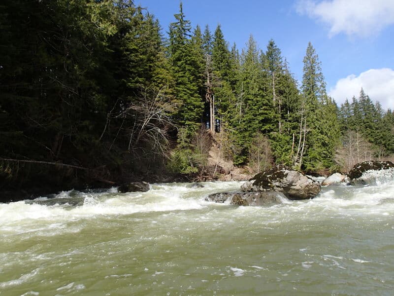 NF Snoqualmie on 3/22/2026