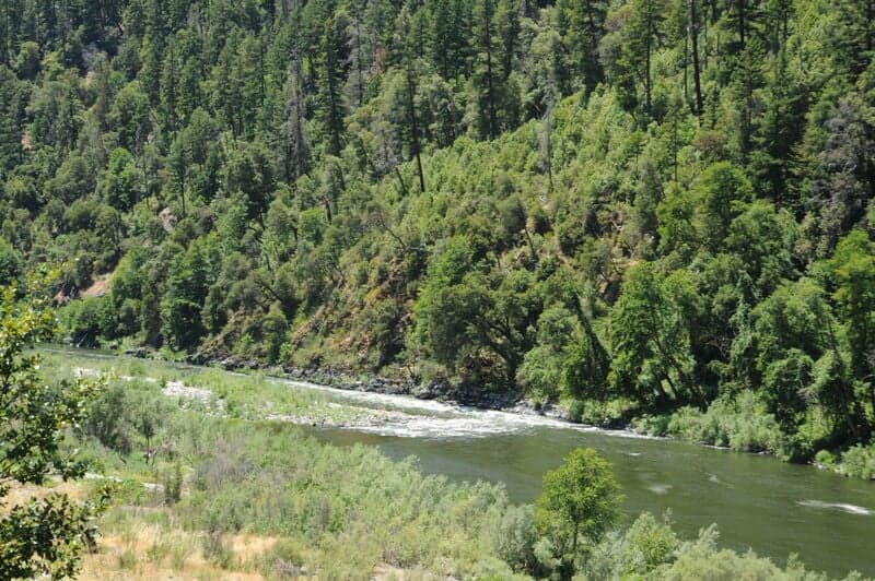 Ti Bar Rapid