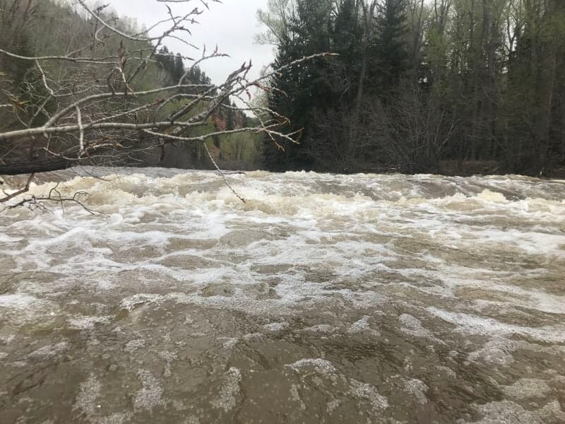 Upper Dolores from Rico to Dolores at high water