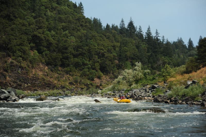Unnamed Rapid