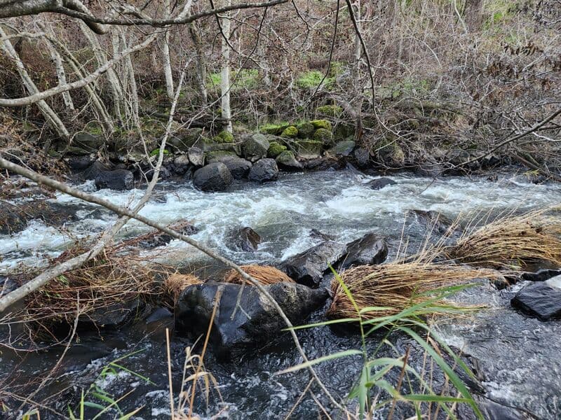 Average rapids
