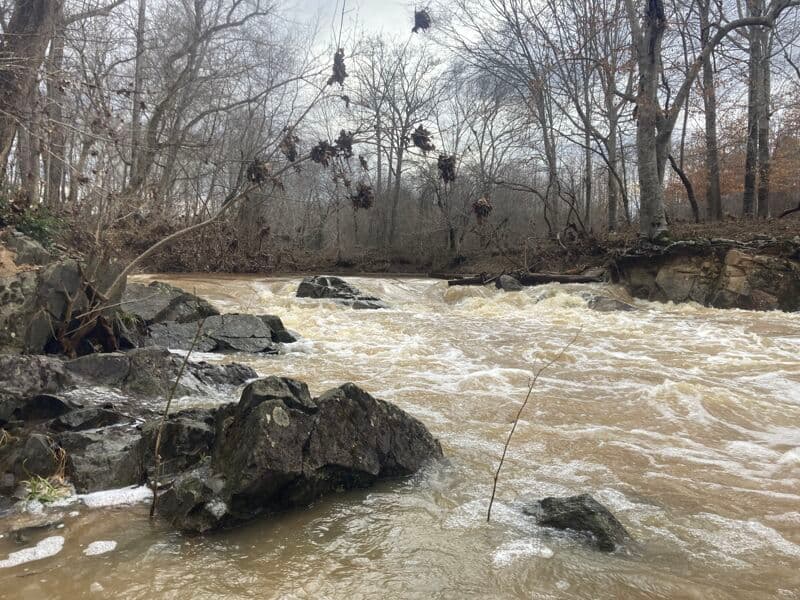 Higher Water Run