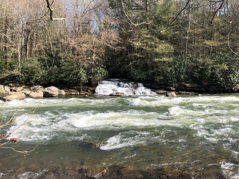 Did the full run at 2.9 feet on the Markleton gauge