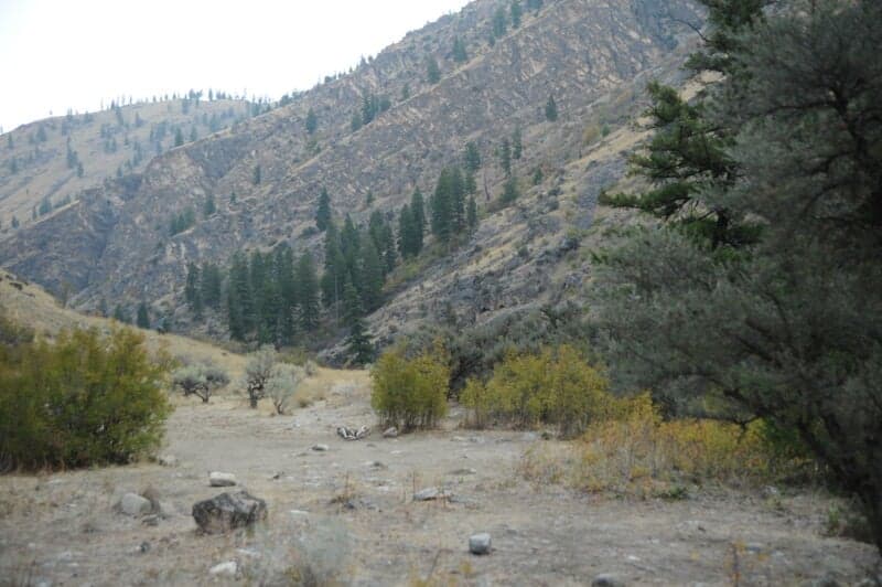 Stoddard Camp (RL)