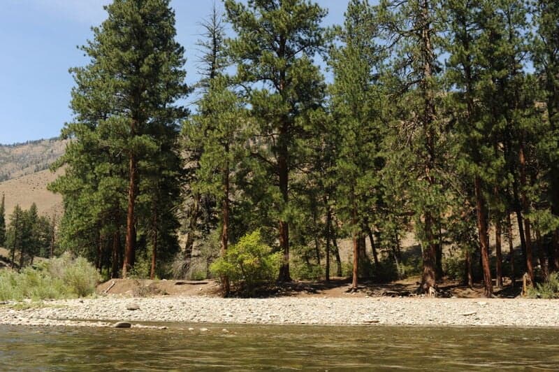 Rock Island Camp (RL)