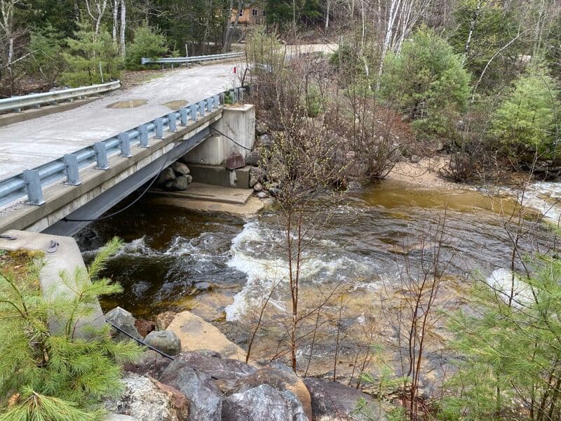Bull Branch on 2023-05-02