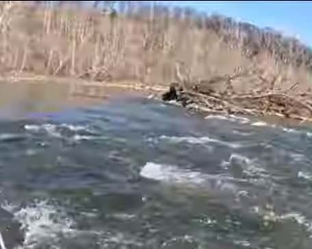 "Spike Dam" 