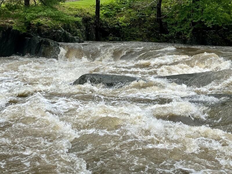 August run on lower Mad at 1700 cfs