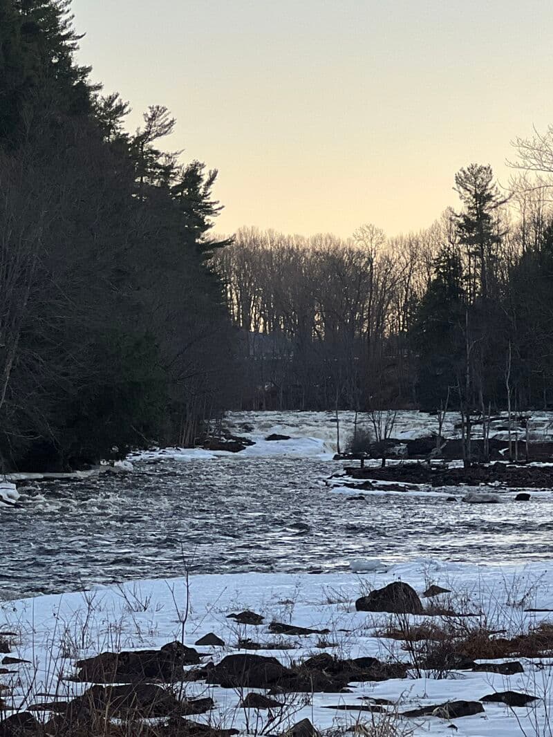 Trip report photo