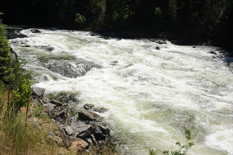 Bloody Mary Rapid