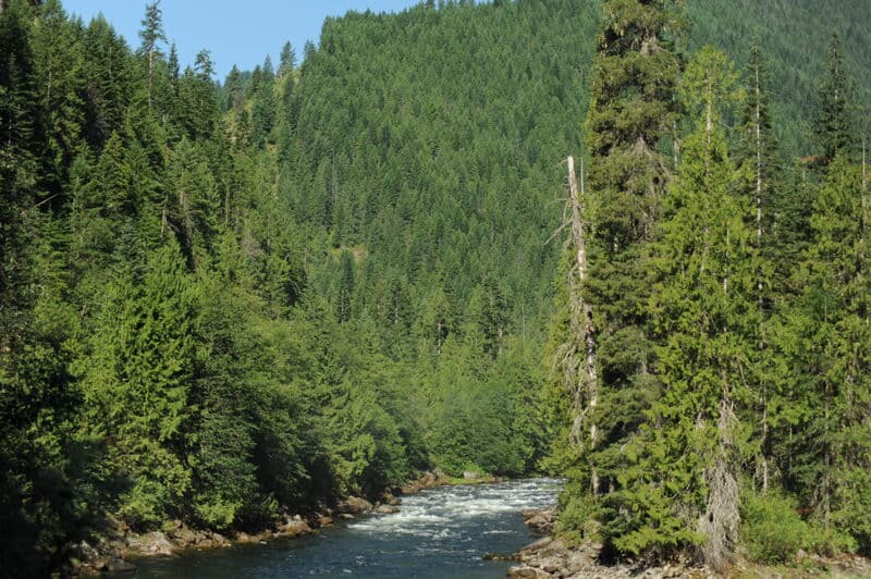 Governor Creek Rapid