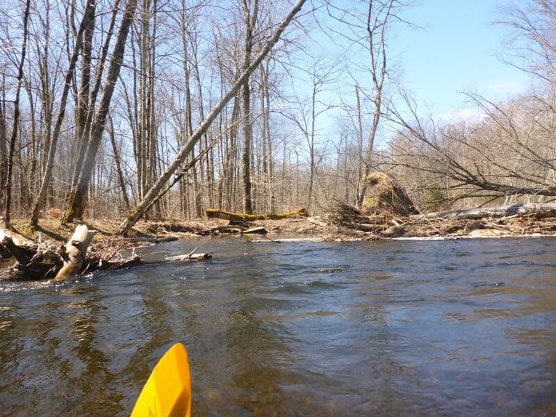 River split after Pineville