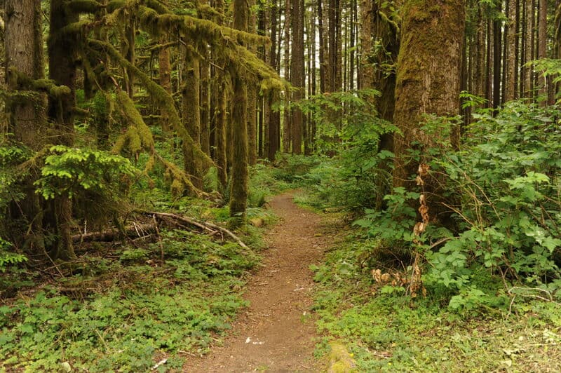 Robe Canyon Historic Park